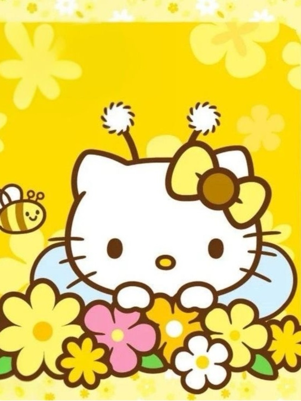 Hello Kitty Collection - Picture 13 of 16